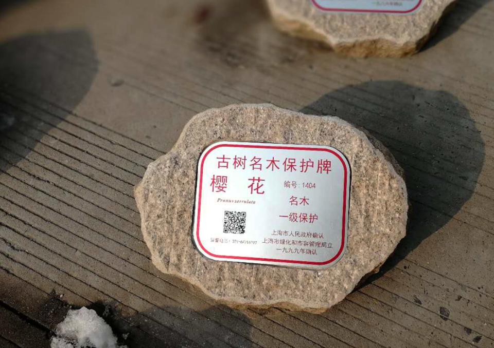 標牌鋁牌制作：樹(shù)木銘牌